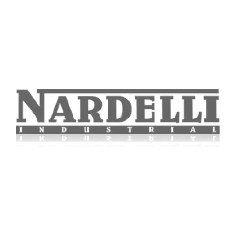 logo_nardelli